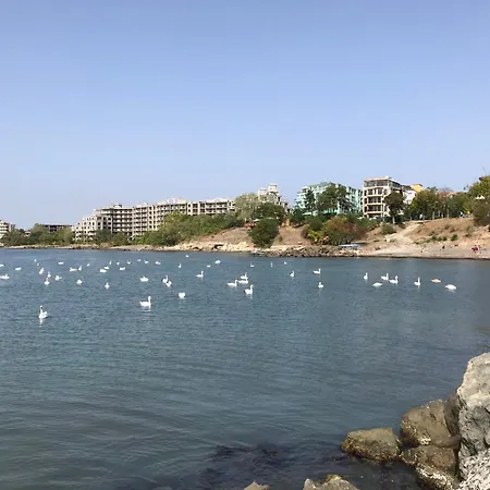 Apartment Europe First Sea Line Coast