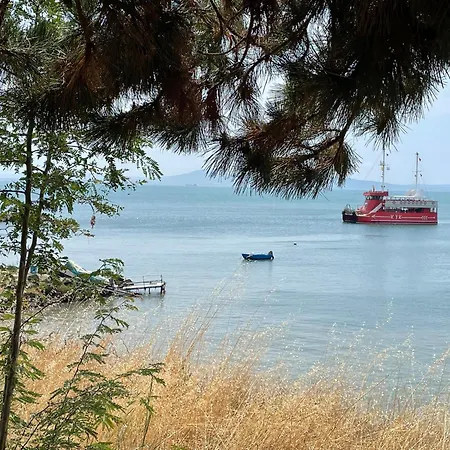 Europe First Sea Line Coast